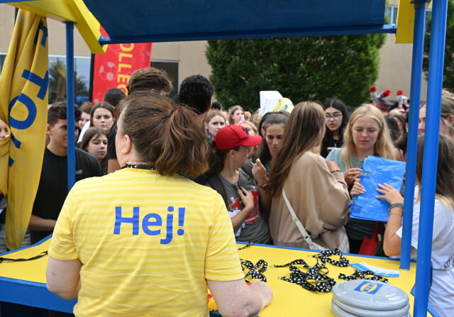Ikea Activation