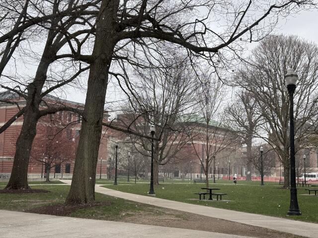 Hansford Quadrangle