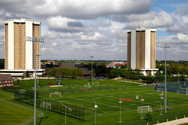 Turf Fields  Picture