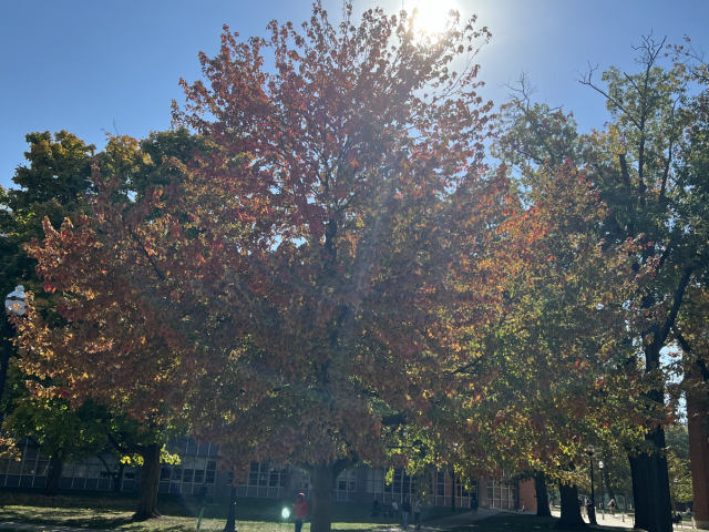 McPherson and Smith Courtyard